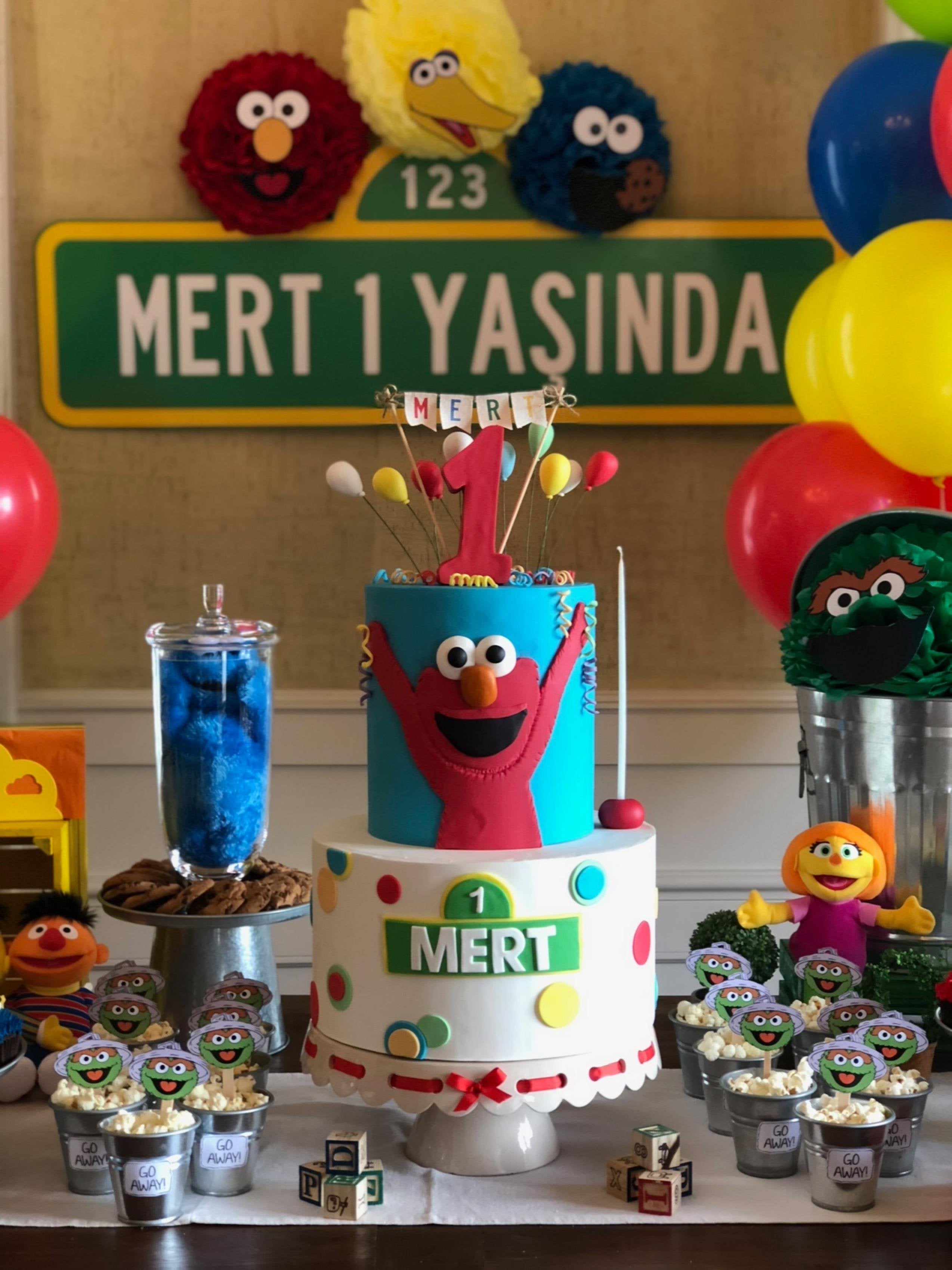 Susam Sokağı Temalı 2 Katlı Show Cake & Seçilen İçerikte Pasta